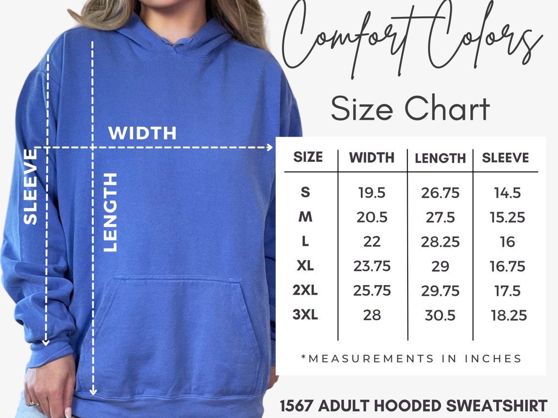 The Homebody Club Comfort Colors Blue and Pink Sweater